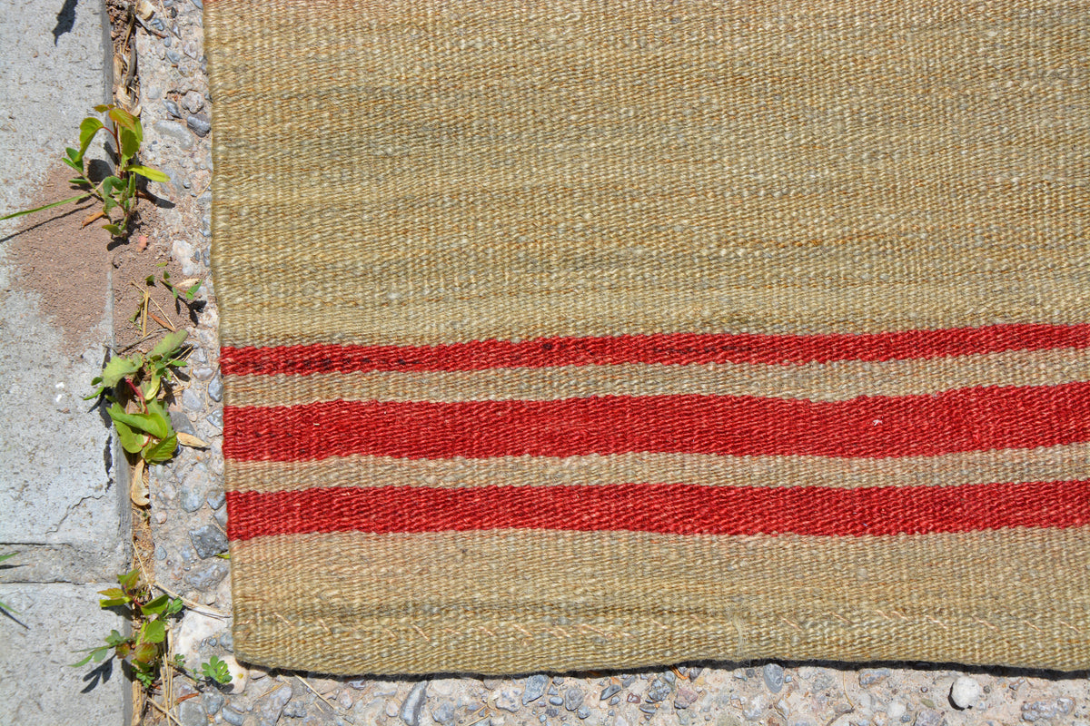 Striped Handwoven Rug, Turkish Rug Runner, Muted Rug, Oriental Rug, Turkey Rug, Vintage Rug, Bathroom Rug, Carpet Rug, 3.0 x 10.4 Feet LQ108